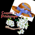plus vert ..... plus frais toute plante grimpante