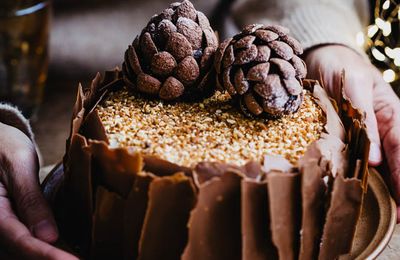 Gateau de Noel noisette et vanille