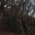 Ma cabane au fond du jardin.