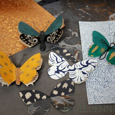 Et des papillons encore 