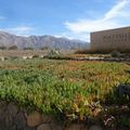 Cafayate, le royaume du vin argentin...