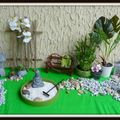 le petit jardin d'Asie de Capucine