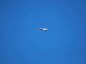 QUELQUES FIGURES ACROBATIQUES.