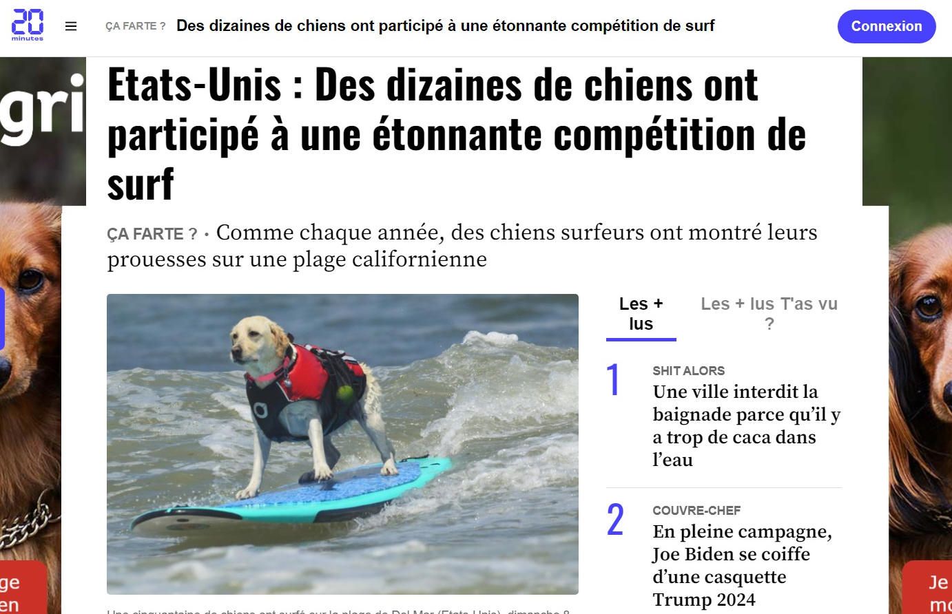 Siensiens surfeurs
