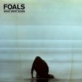 Foals "What Went Down"