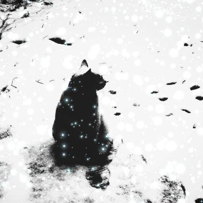 Il a si doucement neigé 