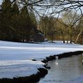 Aisne : neige et ciel bleu