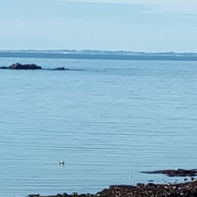 Deux jours , deux paysages différents .