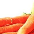 Blog appétit # 10 : Tartelette virtuelle de carottes aux endives braisées