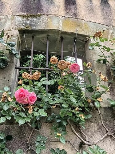 Thème de l'expo : Aux coeurs des villages
