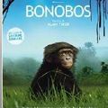 Bonobos : une histoire passionnante