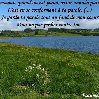 Psaume 119 verset 9 à 11