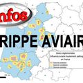 INFORMATION IMPORTANTE : Grippe Aviaire