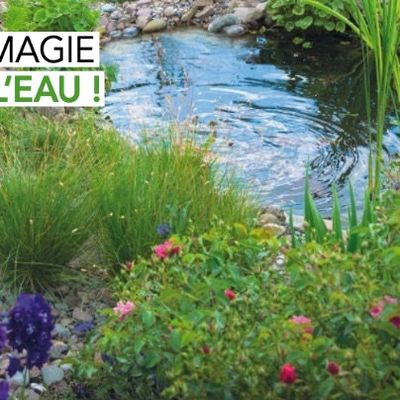 Dossier aquariophilie