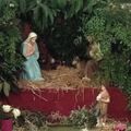 Joyeux Noël à tous nos lecteurs!