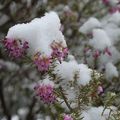 Un dimanche sous la neige