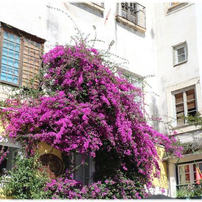 Lisbonne