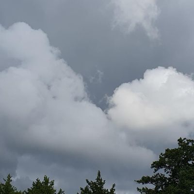 Photos du Dimanche !
