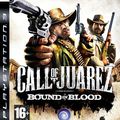 Call of Juarez Bound in blood