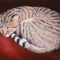 Sieste. Pastel (20X30cm) 