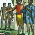La traite négrière dans les manuels scolaires français (Raphaël ADJOBI)