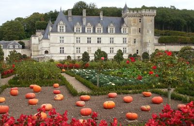 Les jardins du château de Villandry