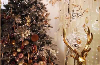 Collection de sapins 2024