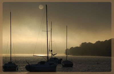 Brouillard et brumes vaporeuses sur les bords du lac (découverte en photos)