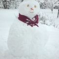 BONHOMME de NEIGE