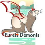 "Furets démonts" Pension pour furets