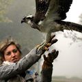 Beauté d'un paysage beauté d'un oiseau beauté