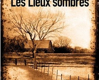 LES LIEUX SOMBRES, Gillian FLYNN