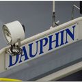 Dauphin - P 13846 F - 01822930