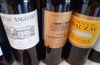 Bordeaux Primeurs 2022 : des vins de l'appellation Margaux à l'Union des Grands Crus Classés de Bordeaux