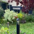Retour sur les pépites de mon jardin au mois de mai...