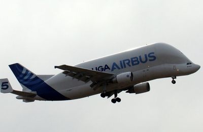 28/03/2016 - Le BELUGA 5 effectue des rotations à Perpignan