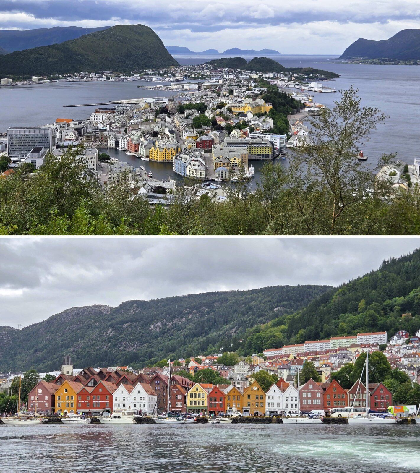 road trip en Norvège, blog voyage, nage en eau froide