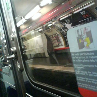 Métro ligne 12 par Elosie Sanz