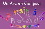 Un Arc en Ciel pour la Main à la Patte, J-1