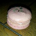 macarons salés