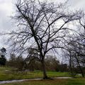 Dans le parc de Rambouillet