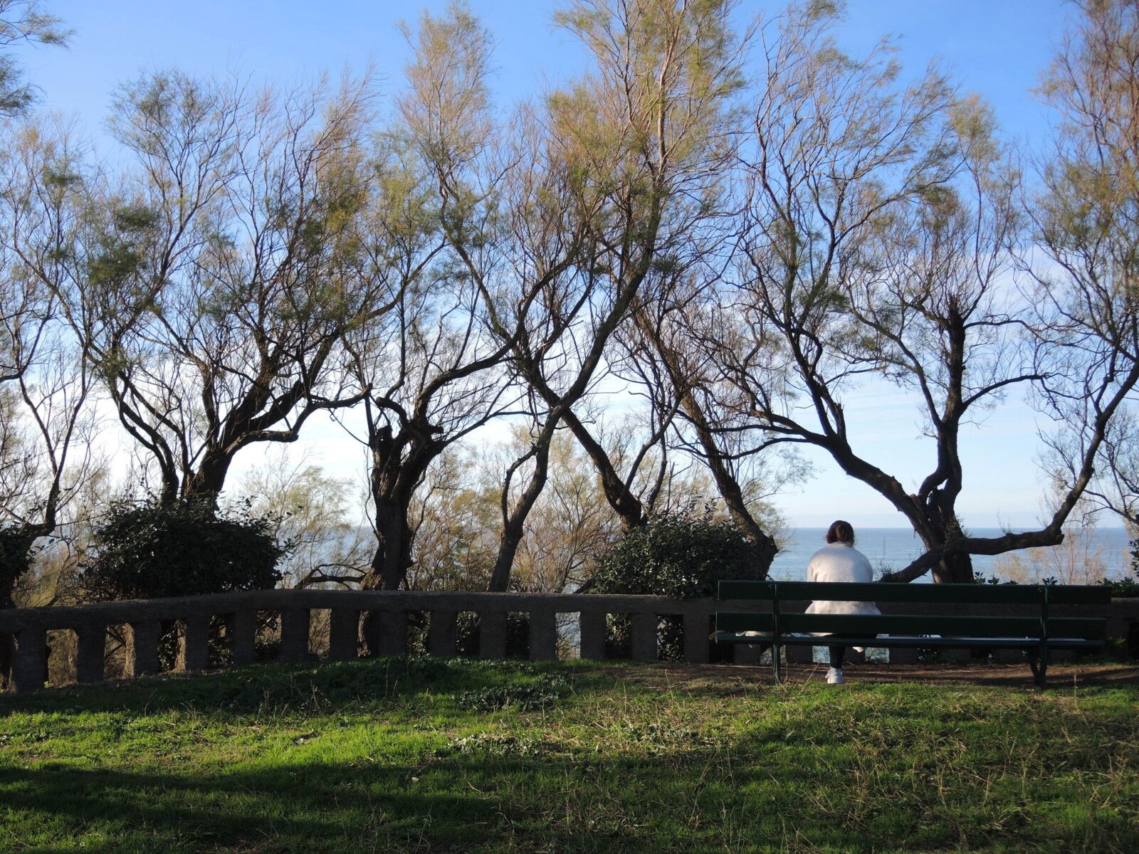 Biarritz, le phare, parc et solitude (64)