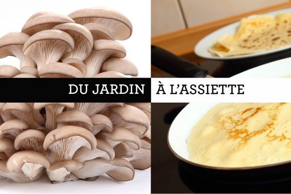 Du Jardin à l'assiette