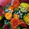 Encore quelques petites fleurs...
