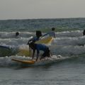 Surf Ados