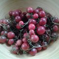 tomates cerises du jardin 