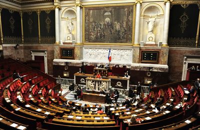 Pétition "Non à la Loi Duplomb - Pour la santé, la sécurité, l'intelligence collective" —  Petition "No to the Duplomb Law - For health, safety, collective intelligence"