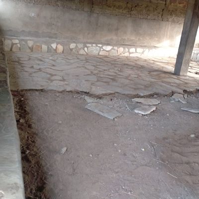 Assemblée générale 2024