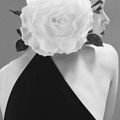 Barbara Mullen photograhed by Richard Avedon, New York, 1951