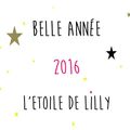 Tous mes Meilleurs Voeux pour cette nouvelle année 2016 !!!